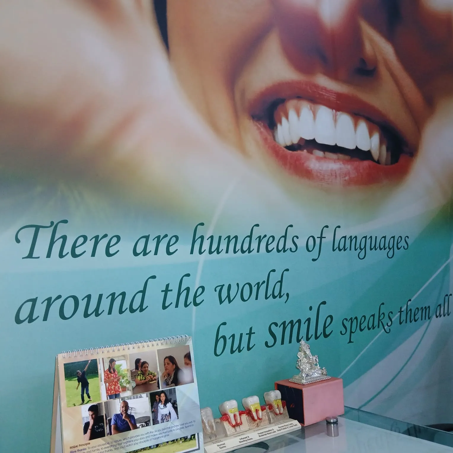 Patient Education Mural & Models - Before & After Dental Treatment